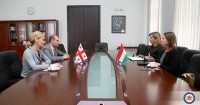  მიხეილ ჯანელიძე საქართველოში უნგრეთის ელჩს შეხვდა