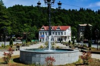 ონში ვირუსის საწინააღმდეგო ღონისძიებები ხორციელდება