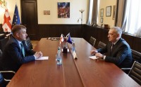 გიორგი ვოლსკი საქართველოში ევროპის საბჭოს ოფისის ხელმძღვანელს შეხვდა