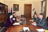 ეკა ბესელია საერთაშორისო ექსპერტს საპარლამენტო განვითარების დარგში ჯონათან მერფის შეხვდა