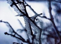 წუხელ საქართველოში ყველზე დაბალი ტემპერატურა დაფიქსირდა