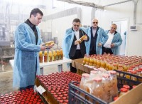 ვაშლის მოსავლის აღება აქტიურ ფაზაში შედის