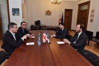 მამუკა მდინარაძემ, ავსტრიის პარლამენტის წევრს, ახალი კონსტიტუციის ძირითადი ასპექტები გააცნო