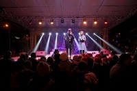 კიკვიძის პარკში საახალწლო ღონისძიება გაიმართა