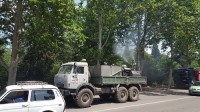 თბილისის მერიის გარემოს დაცვის საქალაქო სამსახურმა ხე-მცენარეები წამლობა ჩაატარა 