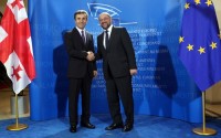 ივანიშვილი ევროპის პარლამენტის პრეზიდენტს შეხვდა 