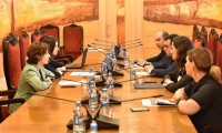 დეზინფორმაციის და პროპაგანდის საკითხებზე თემატური მოკვლევის ჯგუფმა ლაშა დარსალიას მოუსმინა