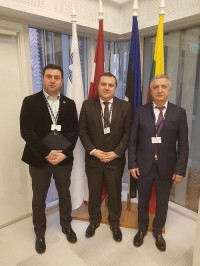 საქართველოს პარლამენტის დელეგაციამ ბალტიის საპარლამენტო ასამბლეის კომიტეტების გაერთიანებული სხდომის მუშაობაში მონაწილეობა მიიღო  