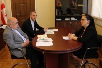 სოფო კილაძე აფხაზეთის მთავრობის წარმომადგენლებს შეხვდა