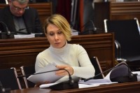 მაჟორიტარი დეპუტატი ნინო წილოსანი: ჩემთვის შემოთავაზებული ვარიანტი მისაღებია