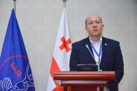 ირაკლი პეტრიაშვილი აშშ-ის ელჩის მოვალეობის შემსრულებელს, როს უილსონს შეხვდა
