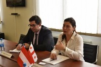 სოფიო ქაცარავა: ავსტრიელი ბიზნესმენების მხრიდან საქართველოში საინვესტიციო და ბიზნეს გარემოს მიმართ დიდი ინტერესი გამოიკვეთა