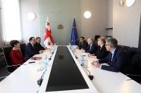 მიხეილ ჩხენკელი პოლონელ დეპუტატს  შეხვდა