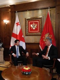 არჩილ თალაკვაძე მონტენეგროს პრეზიდენტს შეხვდა