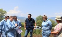 ვასილ ბასილაძე: დაავადება „თურქულის“ საწინააღმდეგო ბრძოლის პროცესში საქართველო რეგიონში ერთ-ერთი წარმატებული ქვეყანაა