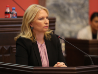 ნათია თურნავა: ფშავ-ხევსურეთის და გუდამაყრის დასახლებები ინტერნეტით დაიფარება