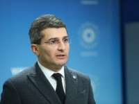 მამუკა მდინარაძე: კვლევითი ორგანიზაციები, რომლებიც IRI-ის კონტრაქტორები არიან და რომლის ვინაობაც არ ვიცით, ყალბ მონაცემებს დებენ