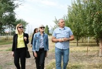 საერთაშორისო ექსპერტი საქართველოში ფისტას და ზეთისხილის კულტურების განვითარების შესაძლებლობებს ეცნობა