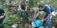 მდინარე ალგეთი საქართველოს წითელი ნუსხის სახეობის, ნაკადულის კალმახის ლიფსიტით გათევზიანდა