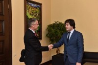 ირაკლი კობახიძე შვედეთის ელჩს შეხვდა