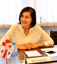 ნინო გოგუაძე: ნატოს მიმდინარე სამიტმა საქართველო-ნატოს თანამშრომლობაში ახალი საკითხები და ფორმატი უნდა გააჩინოს და საბოლოოდ, მთელი ეს პროცესი, ნატოს წევრობამდე მიგვიყვანს
