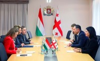 შინაგან საქმეთა მინისტრი უნგრეთის ელჩს შეხვდა