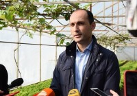 იმერეთში, წყალტუბოს რაიონის სოფელ მაღლაკში სასათბურე კლასტერი იქმნება