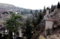 თბილისის ბოტანიკურ ბაღში ღონისძიება - "მოდი ბაღში დედასთან ერთად" გაიმართება