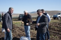 გიორგი ხანიშვილი: ჰექტარზე კარტოფილის მოსავლიანობა, მინიმუმ, 35-40 ტონაა, რაც ძალიან კარგი შედეგია