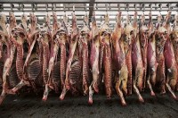 მეორე კვარტალში ქვეყნის მასშტაბით 101 სასაკლაო ფუნქციონირებდა