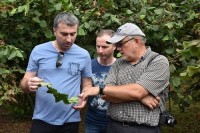  მსოფლიოს წამყვანი ენტომოლოგი აზიურ ფაროსანასთან დაკავშირებით არსებულ ვითარებას ეცნობა