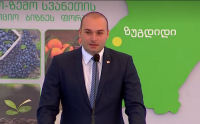 ზუგდიდში სამეგრელო ზემო-სვანეთის რეგიონის აგროსაინვესტიციო  ბიზნესფორუმი გაიმართა