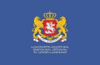 მედიცინის ფაკულტეტის მაღალკურსელებს Covid-19-ის ეფექტიანად მართვის მიზნით გადამზადების სწრაფი კურსები უტარდებათ
