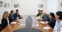  დავით დონდუა ევროპის საბჭოს წარმომადგენლებს შეხვდა