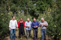 პროგრამის „დანერგე მომავალი“ ფარგლებში გაშენებულ ბაღებში პირველი მოსავლის აღების პროცესი გრძელდება