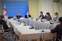  გარემოს დაცვისა და ბუნებრივი რესურსების კომიტეტმა საკომიტეტო მოკვლევაზე „გარემოს ტყვიით დაბინძურების შეფასება საქართველოში“ პირველი ზეპირი მოსმენა  გამართა 