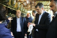იმერეთის რეგიონში მცირე მეწარმეობის დასაწყებად გრანტი 53 დევნილს გადაეცა