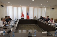 საპარლამენტო კომიტეტების თავმჯდომარეები ჩეხეთის რესპუბლიკის, წარმომადგენელთა პალატის, გარემოს კომიტეტის წევრებს შეხვდნენ