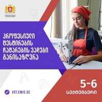პროფესიული ტესტირების ჩატარების ვადები განისაზღვრა