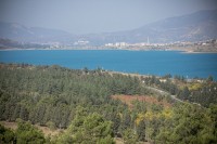 თბილისის მერიამ დენდროლოგიური პარკის პროექტირება დაიწყო