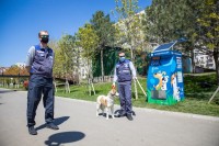 თბილისში მიუსაფარი ძაღლებისთვის კიდევ ერთი კვების აპარატი დაიდგა