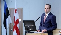 საგარეო საქმეთა მინისტრი-ოკუპირებულ რეგიონებში დისკრიმინაციული პოლიტიკის წინააღმდეგ თბილისი საერთაშორისო საზოგადოების მობილიზებას ახდენს 