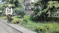 ბოლნისის მუნიციპალიტეტის გამწვანების სამსახური თიბვის სამუშაოებს აწარმოებს