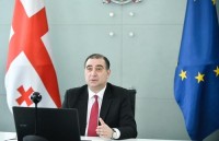 მიხეილ ჩხენკელი ევროსაბჭოს მინისტრთა კომიტეტზე წარდგა