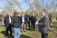 დასავლეთ საქართველოში "თხილის გადარჩენის პროგრამა" დაიწყო