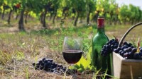 «Financial Times» (დიდი ბრიტანეთი): ქართული ღვინის ახალი ერა; უნიკალური ქართული ღვინო მსოფლიოს იპყრობს