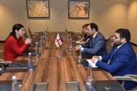 სოფიო ქაცარავამ საერთაშორისო კონფერენციის „საქართველოს ევროპული გზა“ ფარგლებში შეხვედრები გამართა
