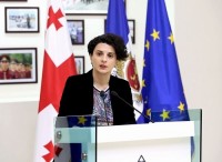ნათია მეზვრიშვილი სალარიძის საქმეზე: პოლიტიკური მიზნებისთვის ასეთ საქმეებს არ უნდა იყენებდნენ