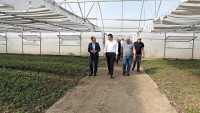 გიორგი გახარია: ჩვენი პრიორიტეტი ყოველთვის იყო სოფლის მეურნეობის მხარდაჭერა და დღეს ეს მიმართულება ქვეყნის ეკონომიკისთვის კიდევ უფრო მნიშვნელოვანი ხდება