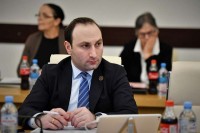 ანრი ოხანაშვილი: "ნაციონალურმა მოძრაობამ" საერთაშორისო დონეზე მოიჭრა თავი